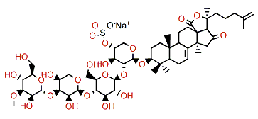 Mollisoside B2